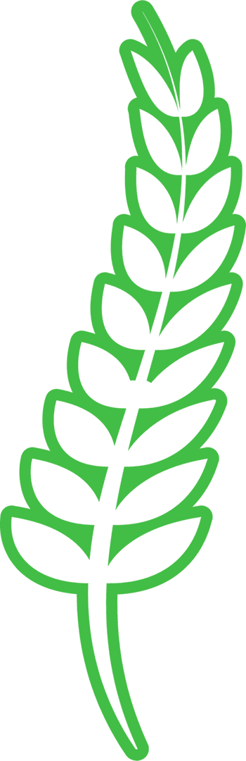 Stylized Green Leafy Branch Illustration on Transparent Background