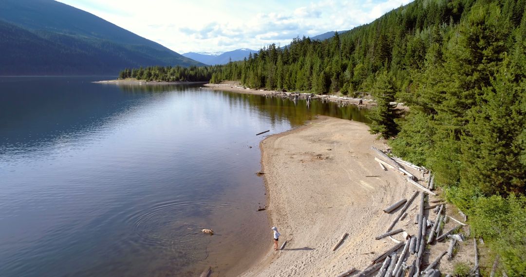 Person Walking Dog Along Serene Lake Shore with Forested Mountains in Background - Free Images, Stock Photos and Pictures on Pikwizard.com