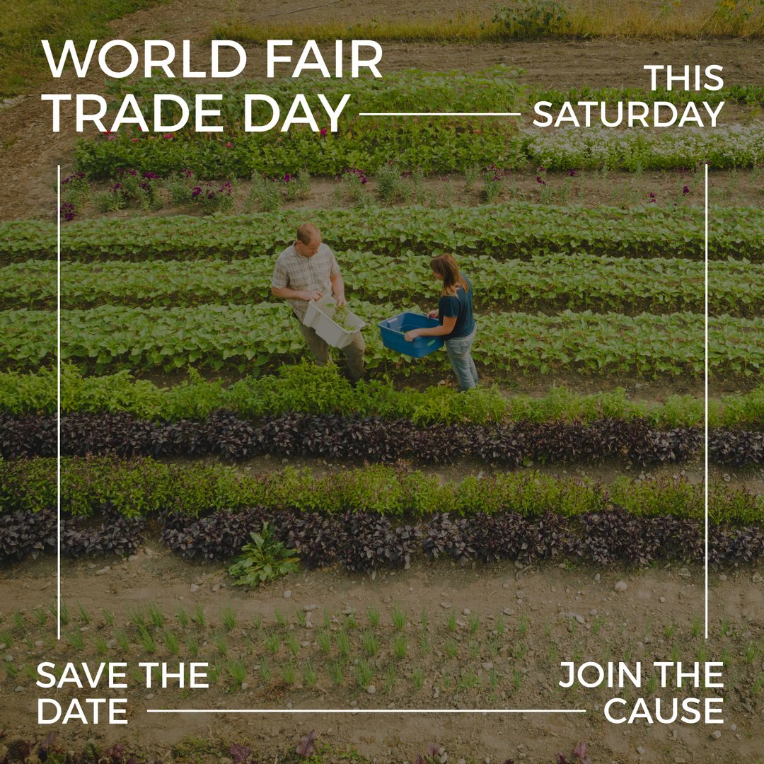 Two Farmers Collaborating in Lush Green Fields