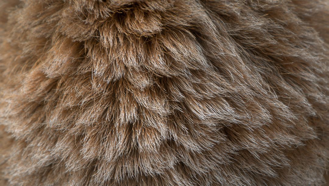 Macro close-up showing dense brown fur texture with layered tufts and plush velvet look