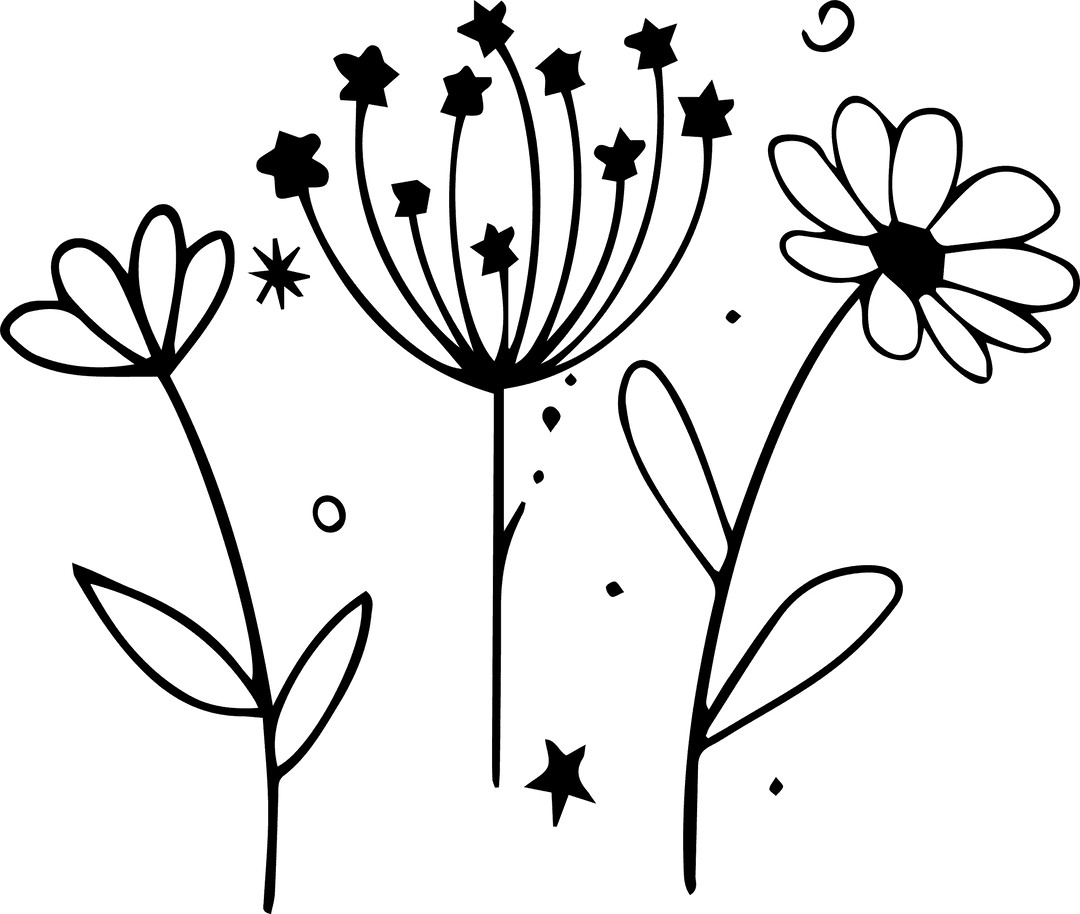 Stylized Floral Illustration Floating on Transparent Background