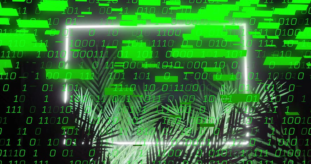Binary Code Over Tropical Palm Leaves Reflects Dichotomy