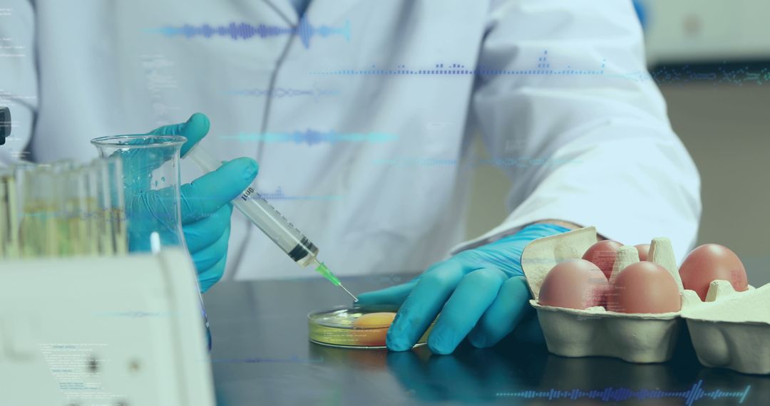 Scientist Analyzing Eggs for Genetic Research