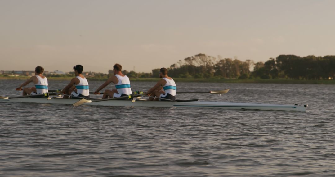 Professional rowing team training on calm river in sunset - Free Images, Stock Photos and Pictures on Pikwizard.com