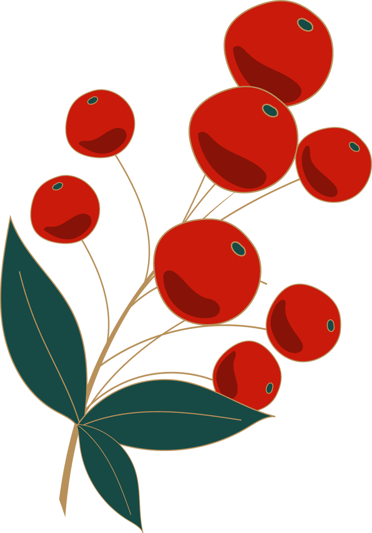 Elegant Botanical Sprig with Red Berries on Transparent Background