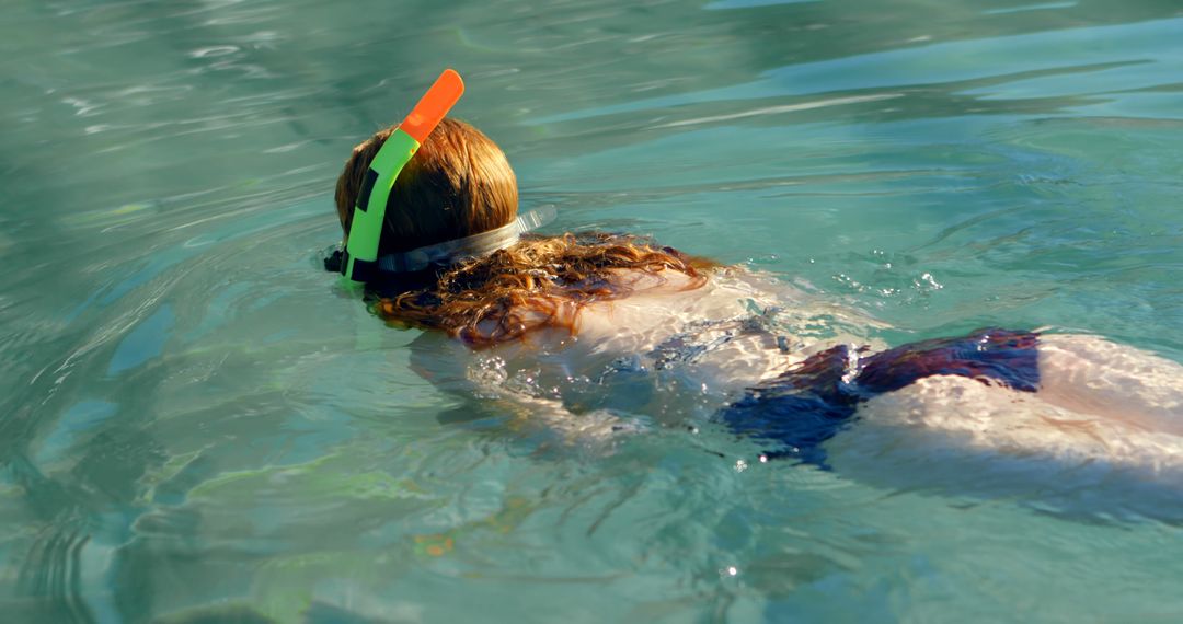 Person Snorkeling in Clear Tropical Waters - Free Images, Stock Photos and Pictures on Pikwizard.com