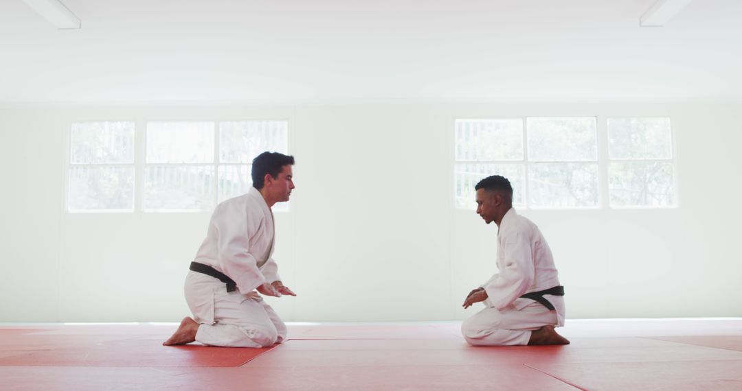 Judo Instructors Kneeling on Mats in Bright Training Room - Free Images, Stock Photos and Pictures on Pikwizard.com