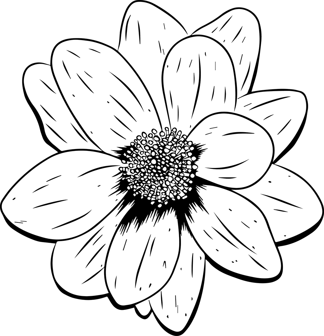 Minimalistic Floral Line Art with Transparent Background