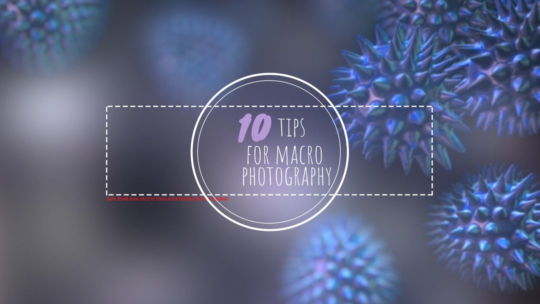 Macro Photography Tips with Vivid Spiky Structures