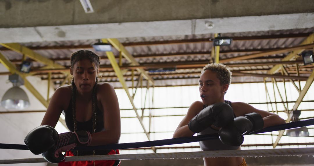 Female Boxers Taking Break in Ring, Training Session - Free Images, Stock Photos and Pictures on Pikwizard.com