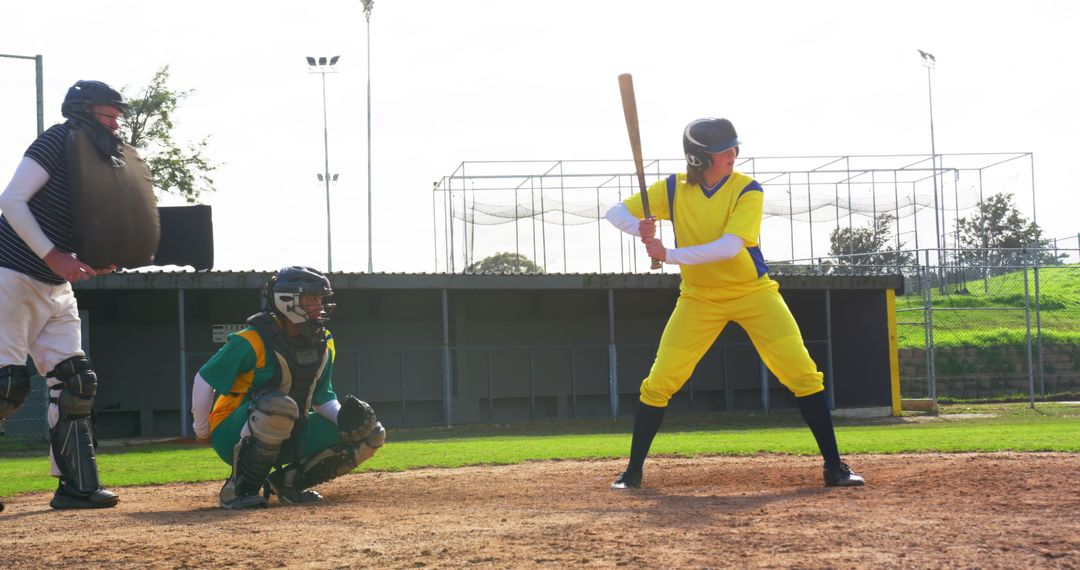 Dynamic Baseball Game with Diverse Players on Sunlit Field