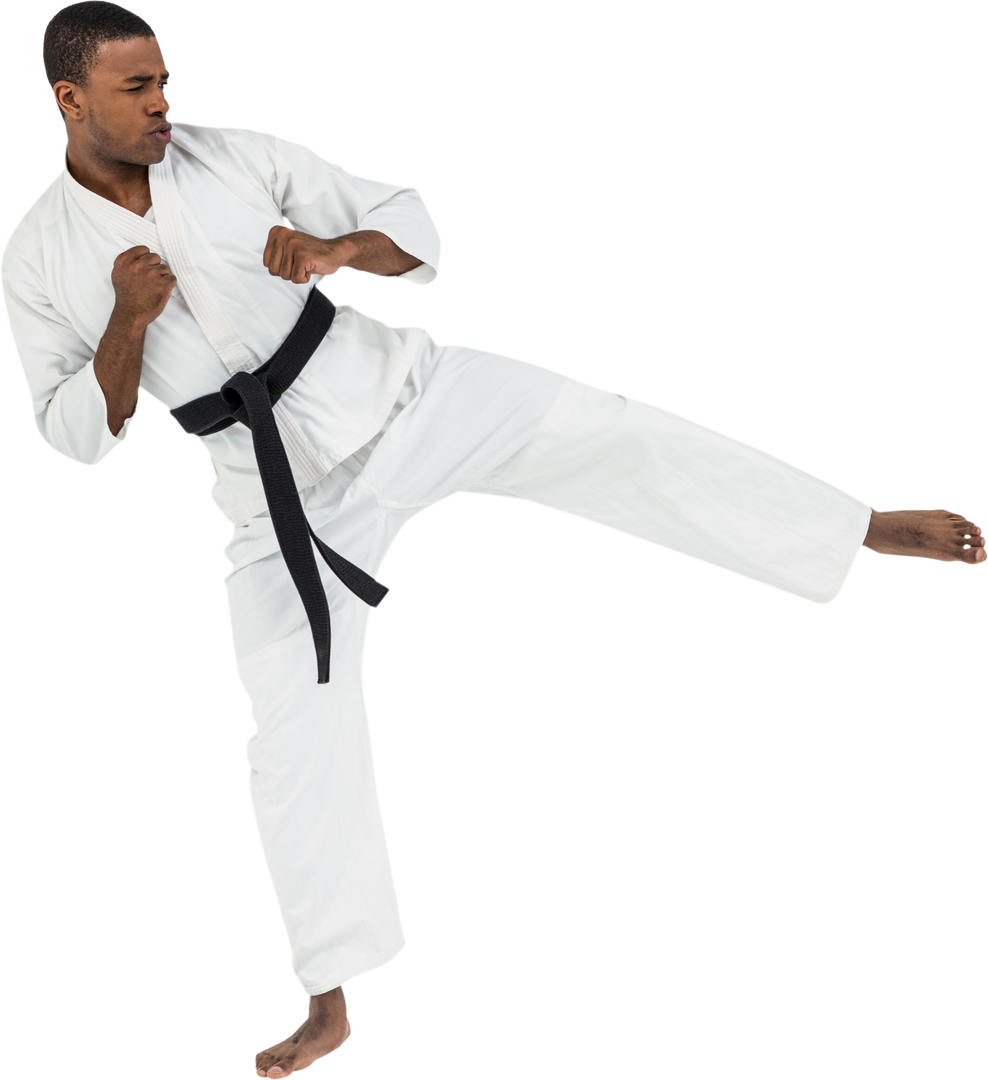 Transparent Background Martial Artist Kicking for Training and Fitness - Download Free Stock Images Pikwizard.com