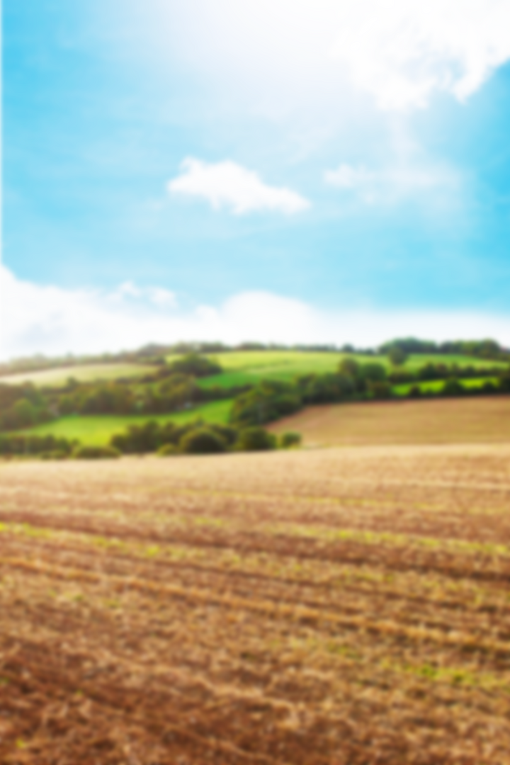 Transparent Countryside Landscape with Field and Hill - Download Free Stock Images Pikwizard.com