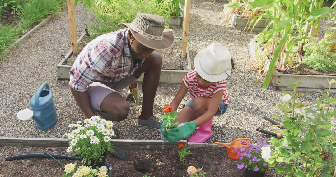 Happy african american father and daughter planting flowers together in garden - Free Images, Stock Photos and Pictures on Pikwizard.com