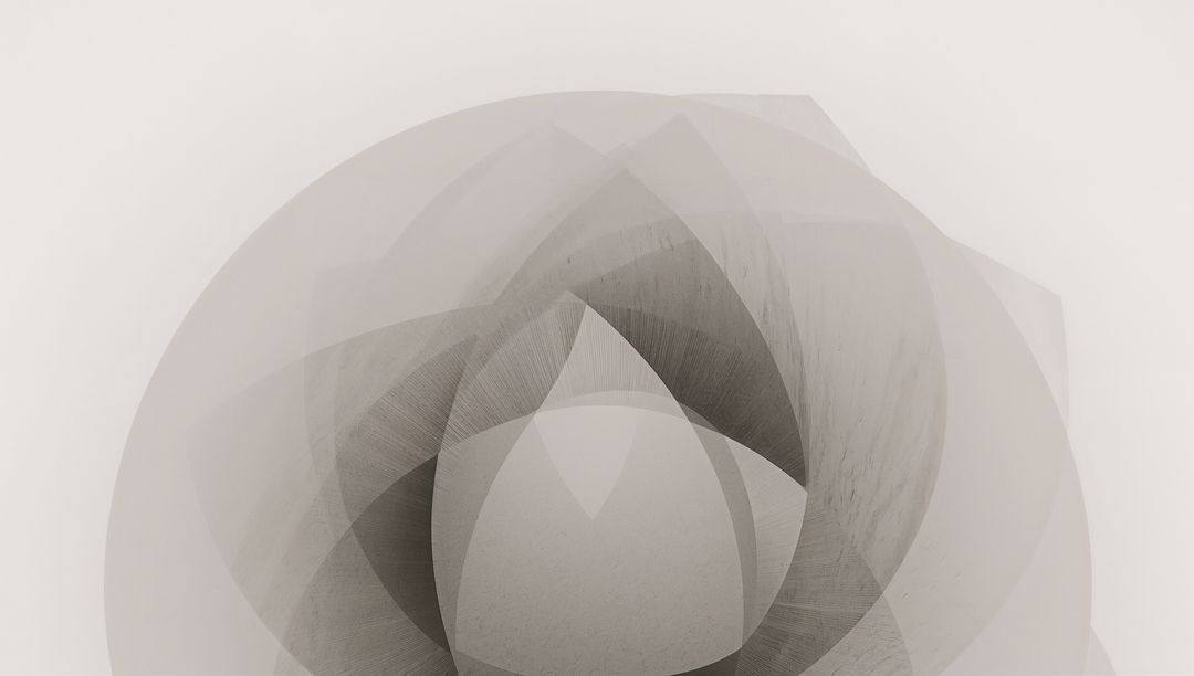 Translucent Layered Floral Abstraction Forming Concentric Orb in Grayscale