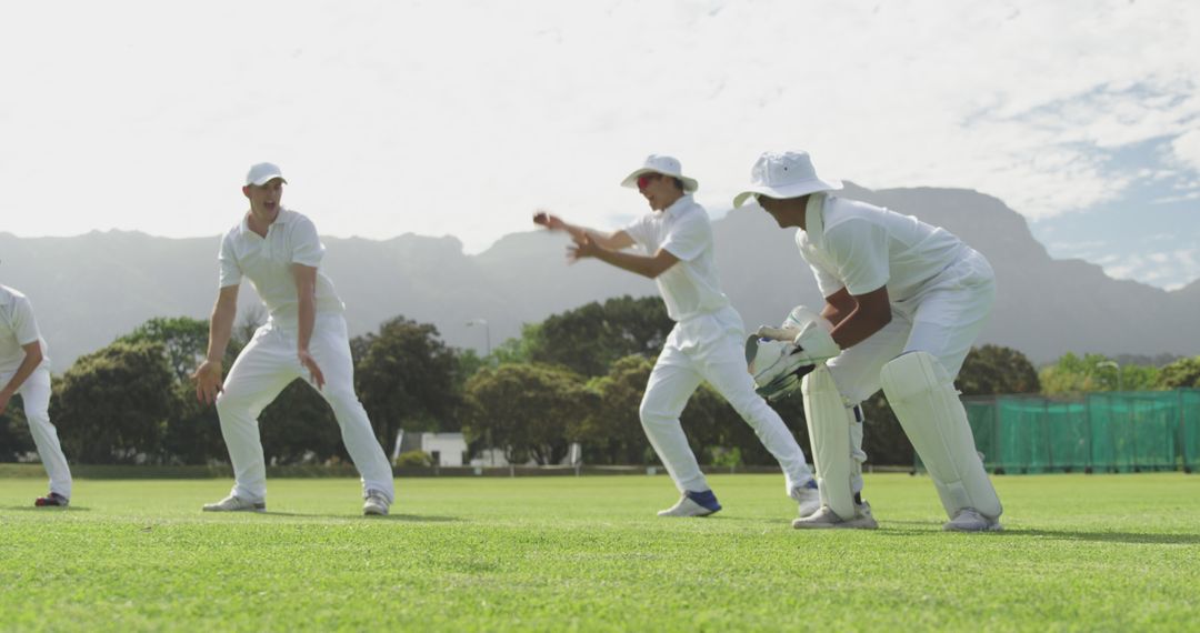 Cricket Players Fielding During a Sunny Day Match - Free Images, Stock Photos and Pictures on Pikwizard.com