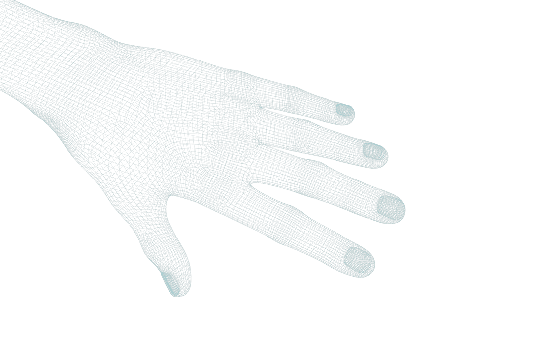 Transparent 3D Visualization of Human Hand