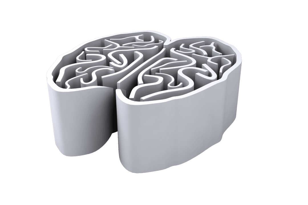 White Brain Illustration with Transparent Background