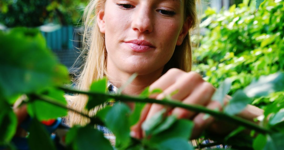 Young Woman Gardening Outdoors in Summer - Free Images, Stock Photos and Pictures on Pikwizard.com