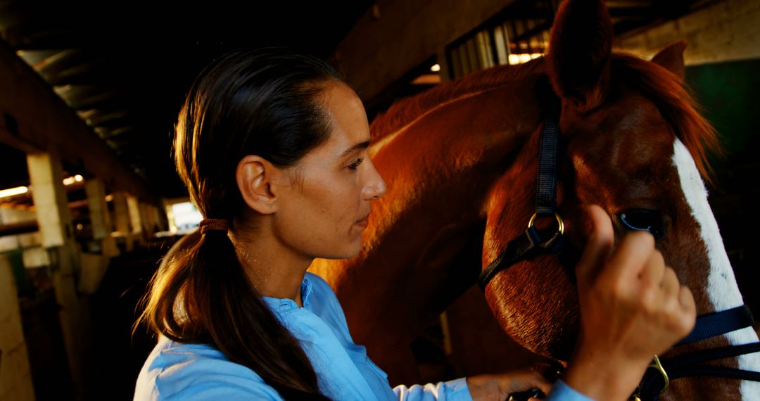 Woman Grooming Horse in Stable - Free Images, Stock Photos and Pictures on Pikwizard.com