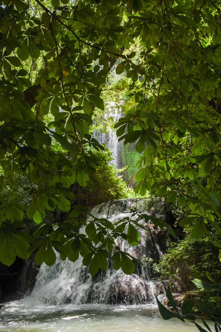 Secluded Waterfall Cascading Through Lush Green Forest Canopy - Free Images, Stock Photos and Pictures on Pikwizard.com