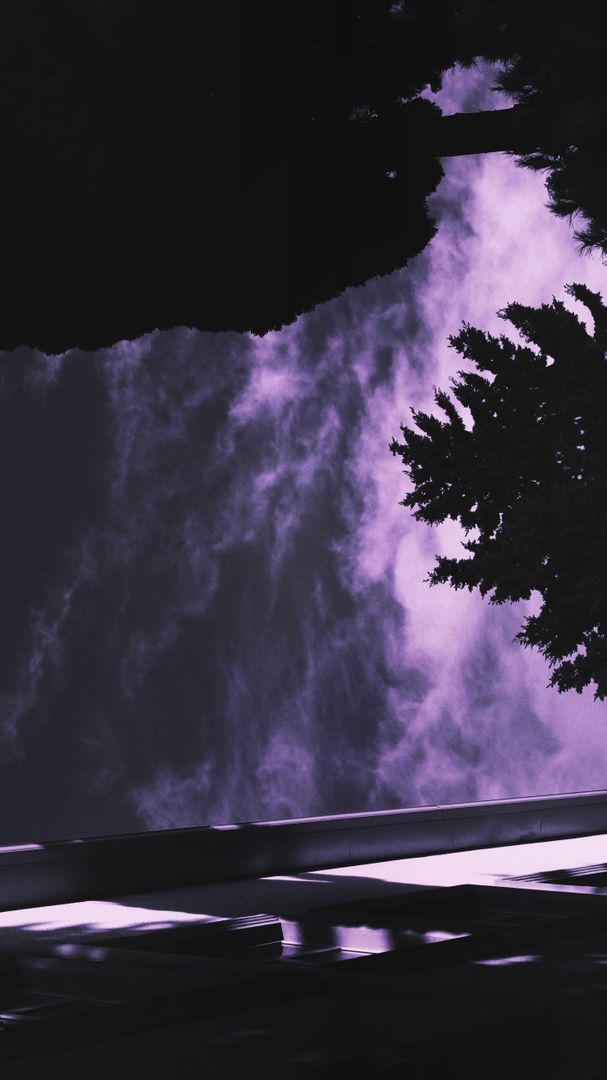Abstract View of Night Sky with Silhouetted Trees and Purple Clouds - Free Images, Stock Photos and Pictures on Pikwizard.com