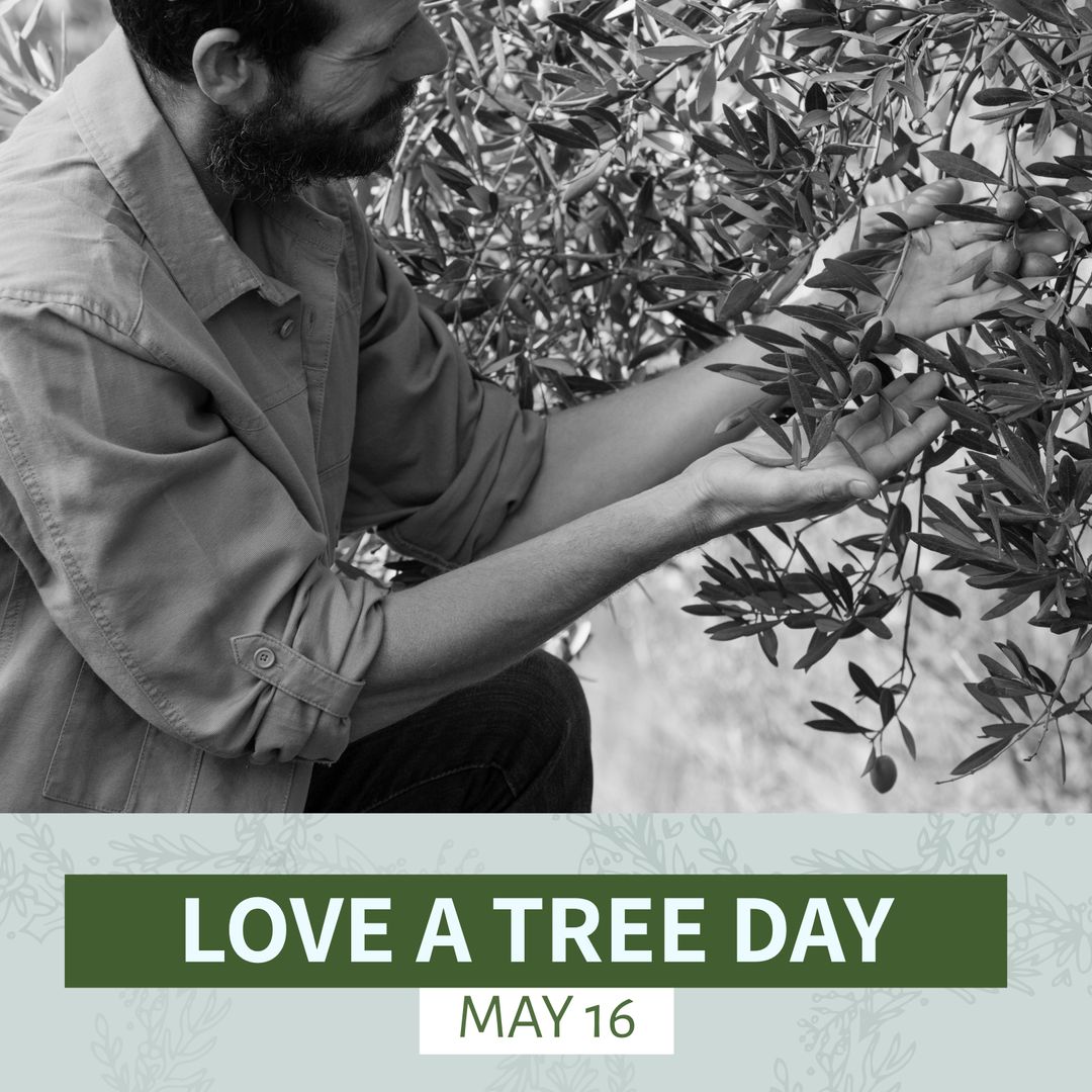 Celebration of Love a Tree Day on May 16 with Caucasian Man Examining Tree