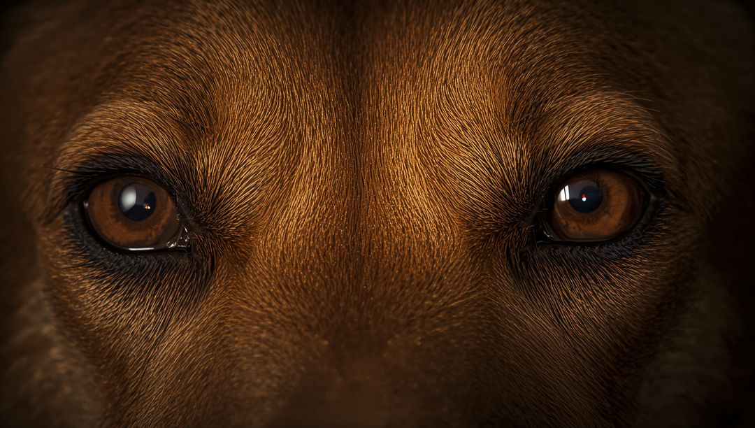 Intense close-up portrait of brown dog eyes with amber catchlights and single tear