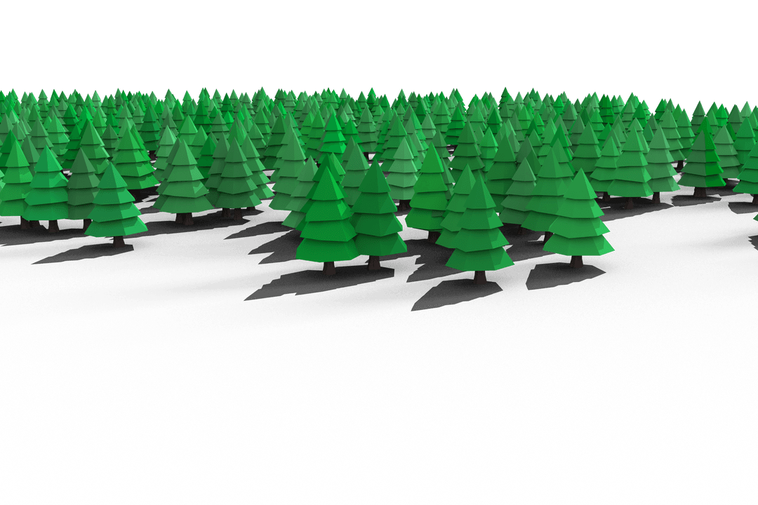 Digital Forest with Fir Trees on Transparent Background