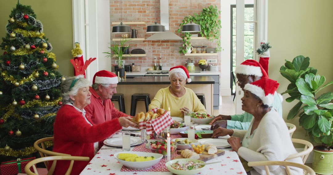 Diverse Group of Seniors Enjoying Christmas Dinner at Home - Free Images, Stock Photos and Pictures on Pikwizard.com