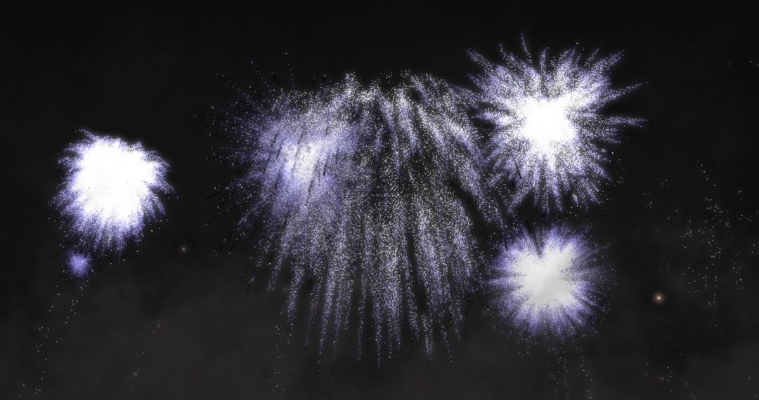 Festive Fireworks Exploding Brilliantly in Night Sky