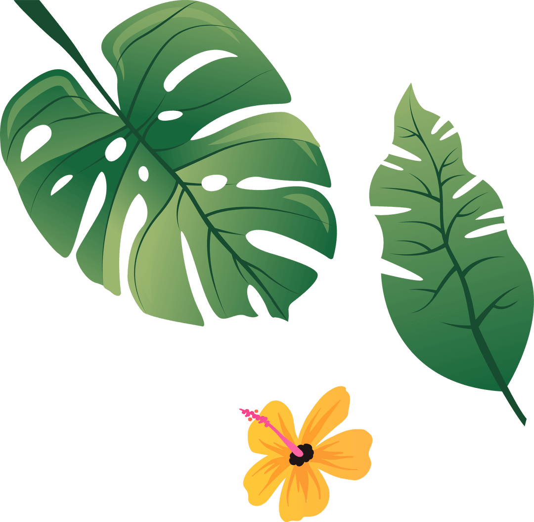 Transparent Tropical Leaves and Hibiscus Flower Illustration