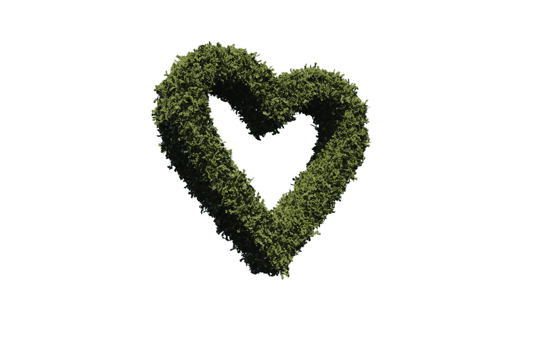 Green Organic Heart Shape with Grass on Transparent Background