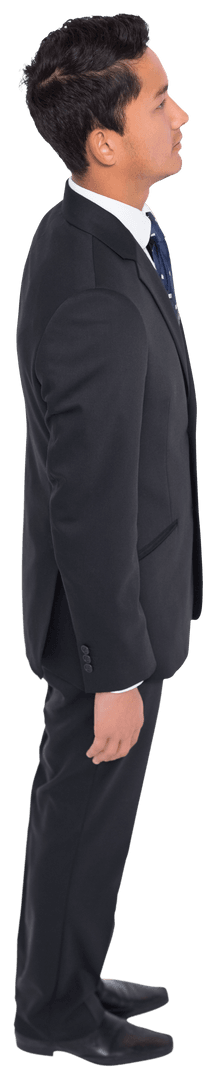 Transparent Portrait of Biracial Businessman in Profile View