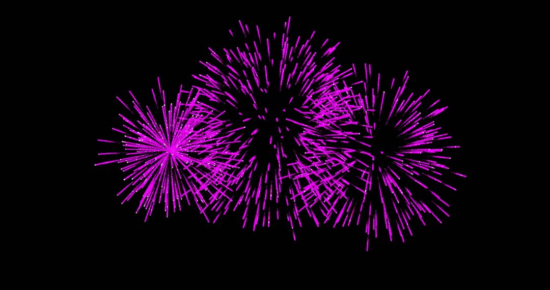 Vivid Pink Fireworks Exploding in Night Sky