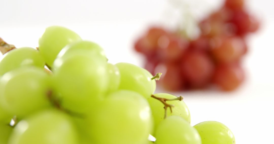 Close-up of Fresh Green Grapes with Blurred Red Grapes in Background - Free Images, Stock Photos and Pictures on Pikwizard.com