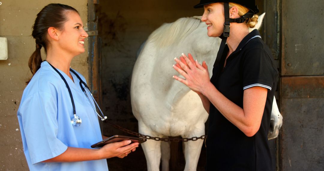 Vet and Equine Owner Discussing Horse's Health in Stable - Free Images, Stock Photos and Pictures on Pikwizard.com