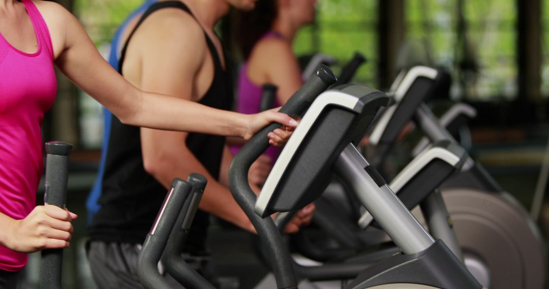 People Exercising on Elliptical Machines in Gym - Free Images, Stock Photos and Pictures on Pikwizard.com