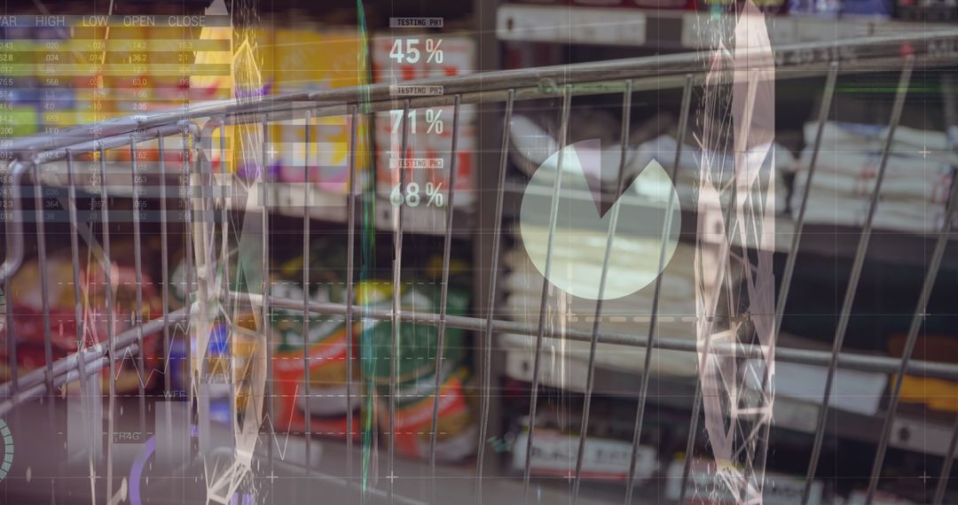 Digital Interface of Financial Data and Shopping Experience