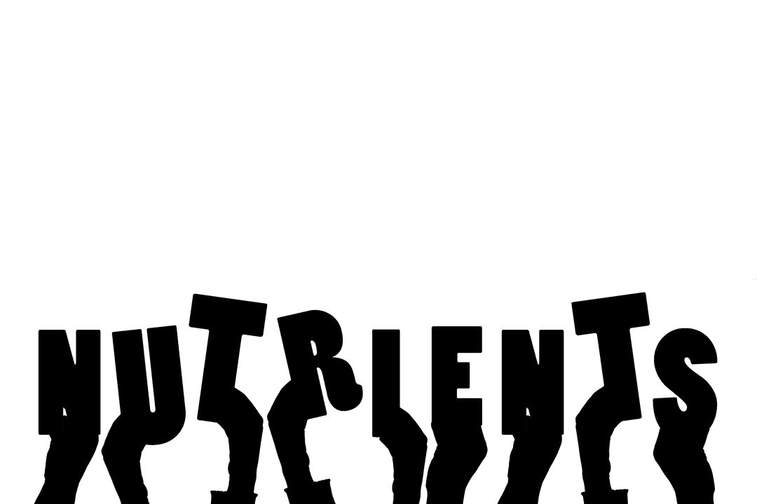 Transparent Illustration of Hands Holding Nutrients Descriptive Text