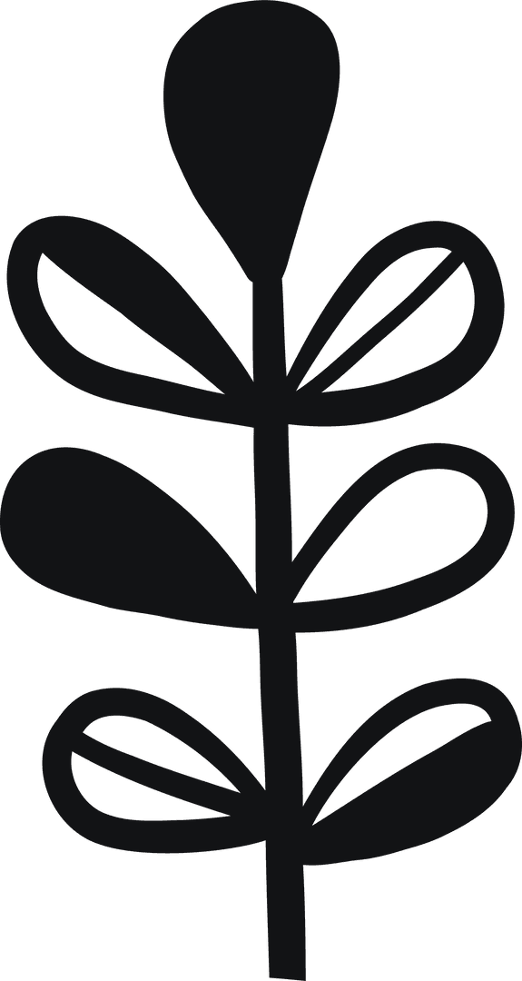 Minimalist Abstract Plant Silhouette on Transparent Background