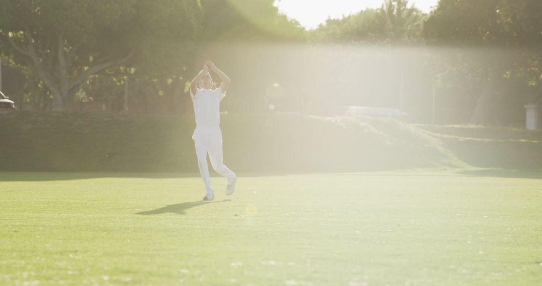 Cricket Player Catching Ball in Sunlight on Green Field - Free Images, Stock Photos and Pictures on Pikwizard.com