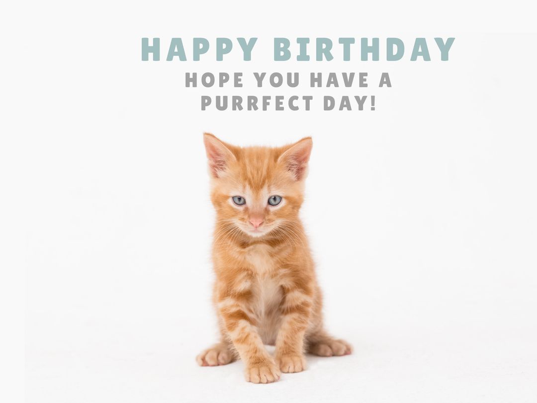 Adorable Orange Kitten with Birthday Greeting Message - Download Free Stock Templates Pikwizard.com