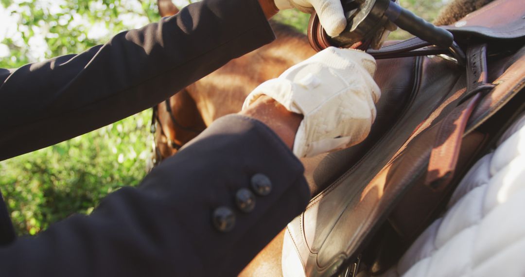 Close-up of Equestrian Preparing Horse with Leather Saddle - Free Images, Stock Photos and Pictures on Pikwizard.com