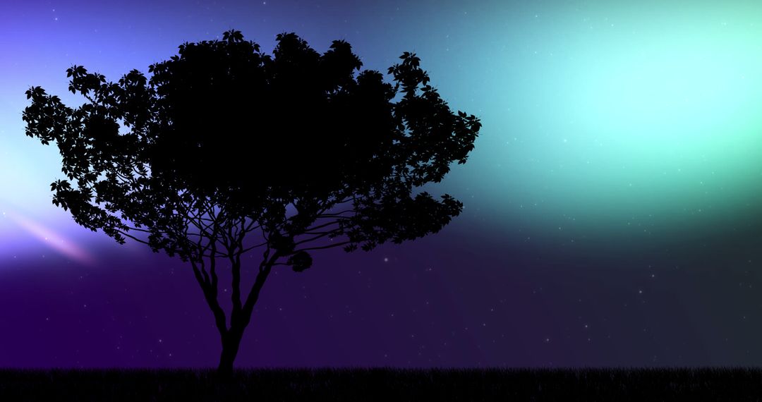 Silhouette of Tree Against Northern Lights Aurora Display