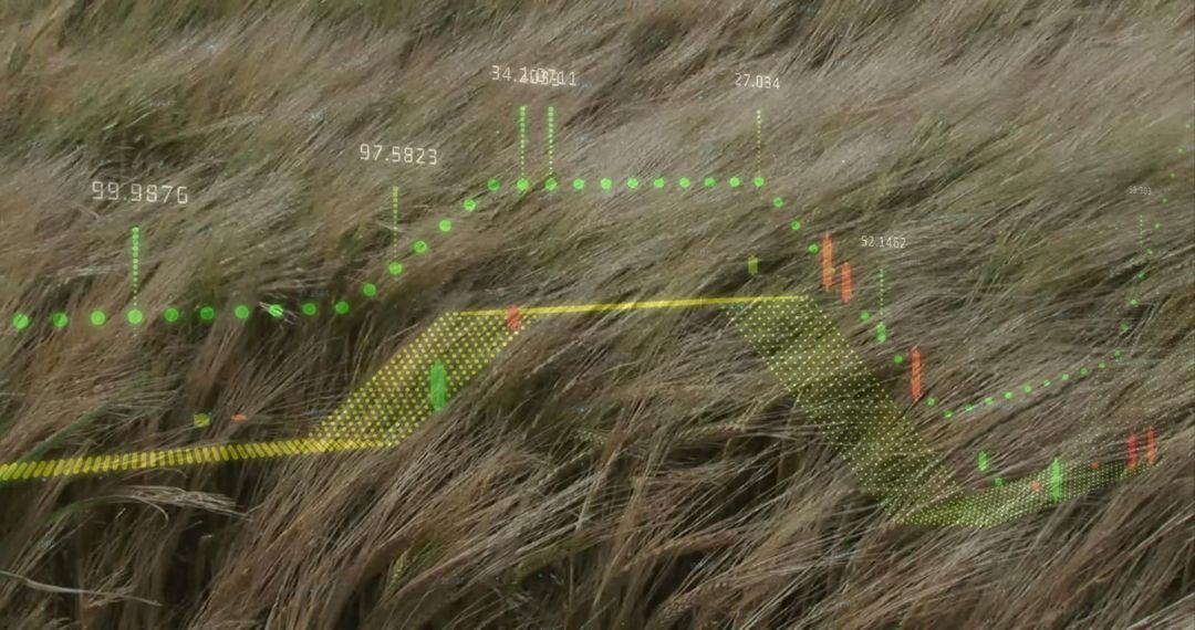 Digital Data Visualization in Nature Concept Art
