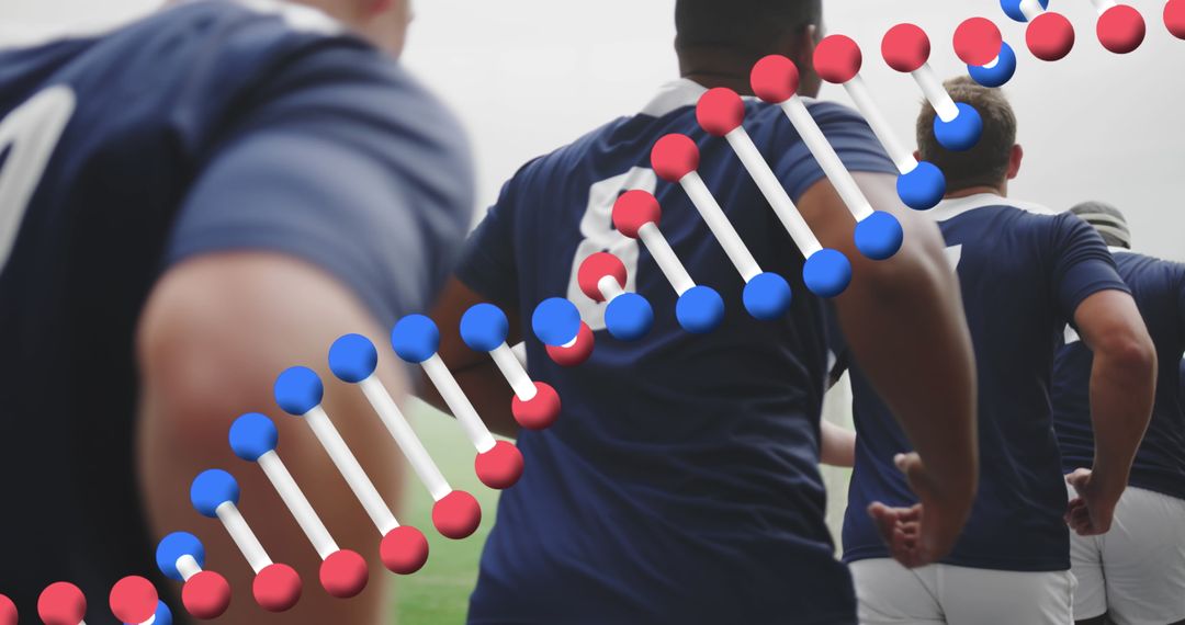 DNA Strand Overlay with Rugby Players in Motion at Stadium