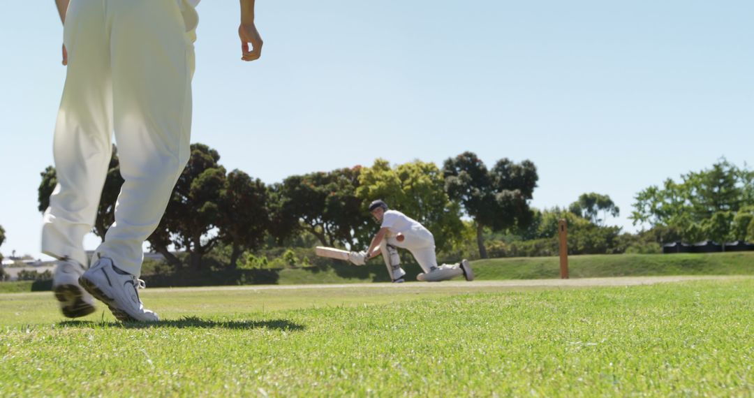 Cricketer Making Dive Catch near Wicket - Free Images, Stock Photos and Pictures on Pikwizard.com