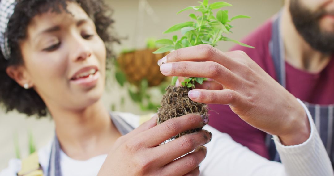 Couple Potting Seedlings Together at Home