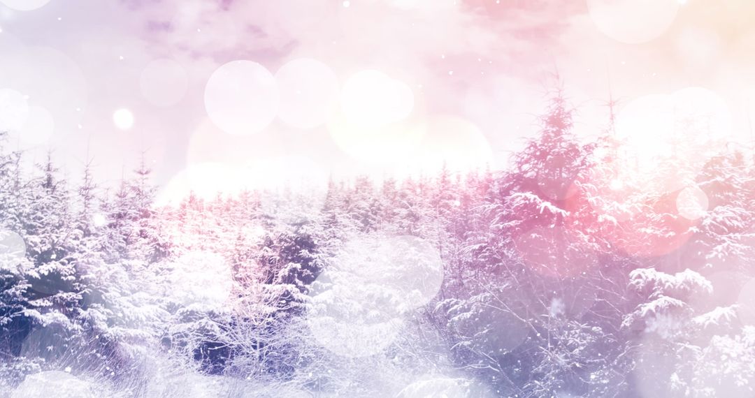 Enchanting Winter Wonderland with Snow Covered Trees